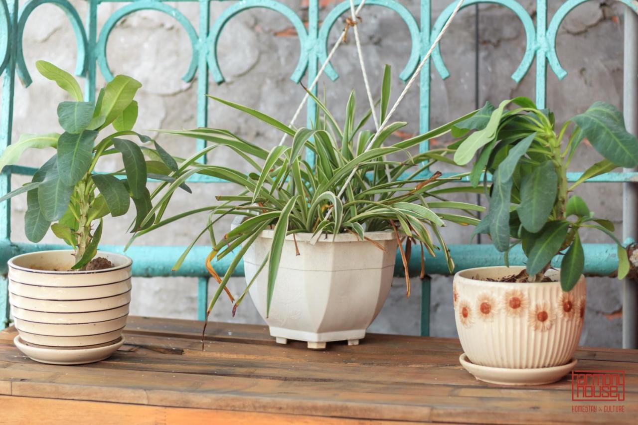Harmony Homestay - Hanoi Homestay In Old Quarter Exterior foto